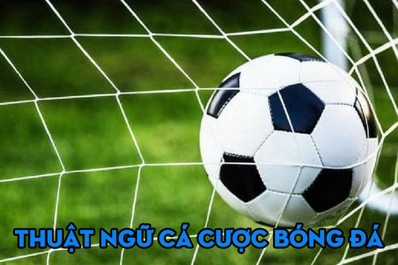 1 Mon ca cuoc bong da cuc ki hap dan tai i9bet Môn cá cược bóng đá cực kì hấp dẫn tại i9bet