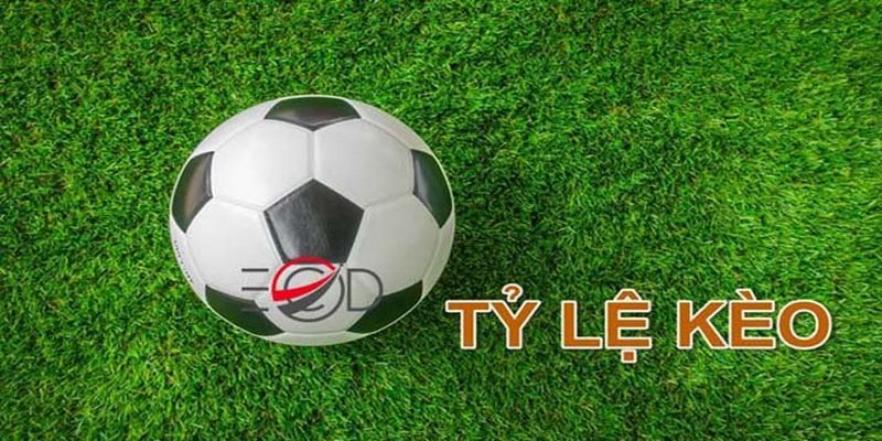 1 Ty le keo truc tuyen i9bet Tỷ lệ kèo trực tuyến i9bet