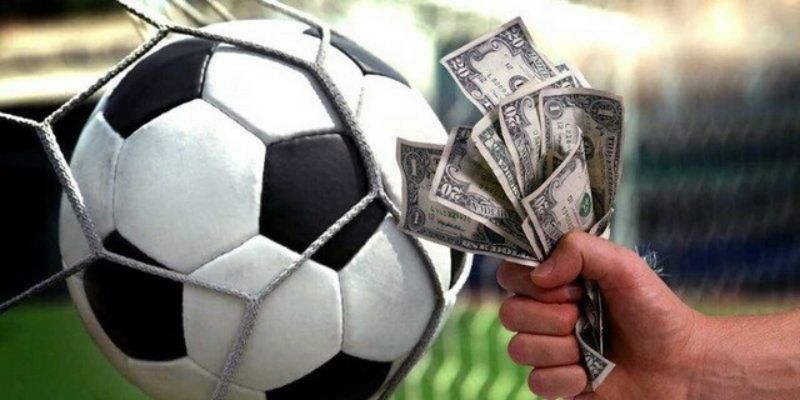 4 Cac meo choi ca do cuc hay cua cao thu Các mẹo chơi cá độ cực hay của cao thủ